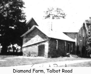 Diamond Farm